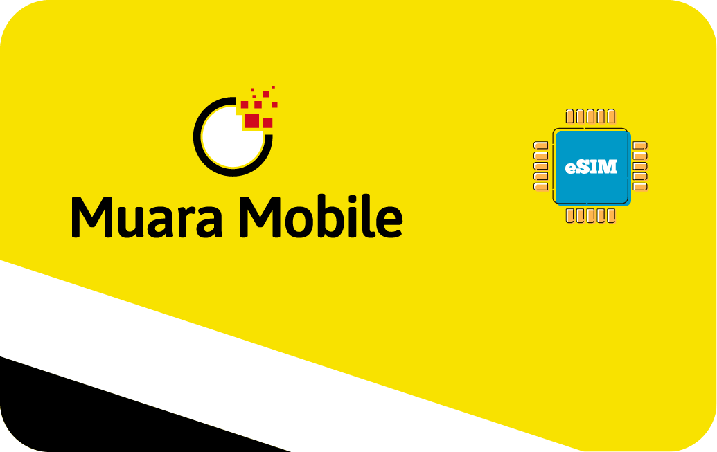 Brunei Darussalam eSIM